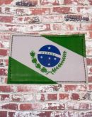 Bandeira do Paraná  emplastificado